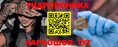 крисы Чебаркуль