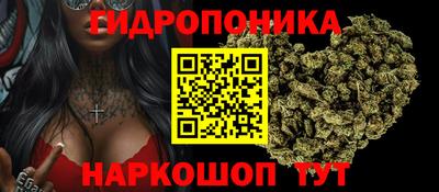 крисы Чебаркуль