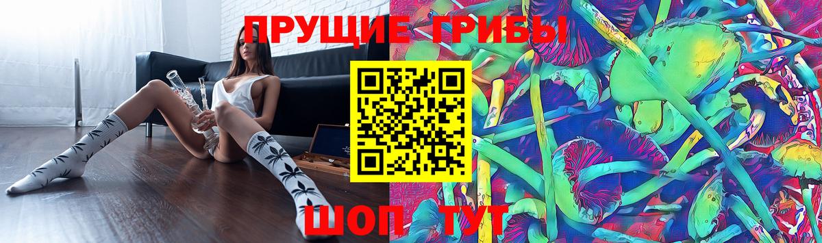 Псилоцибиновые грибы мухоморы Дубна